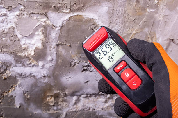 Best Local Mold Removal Service  in Sisco Heights, WA