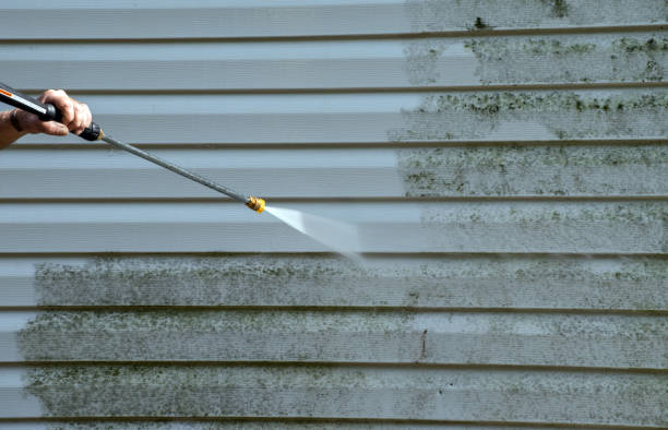 Best Toxic Mold Removal  in Sisco Heights, WA